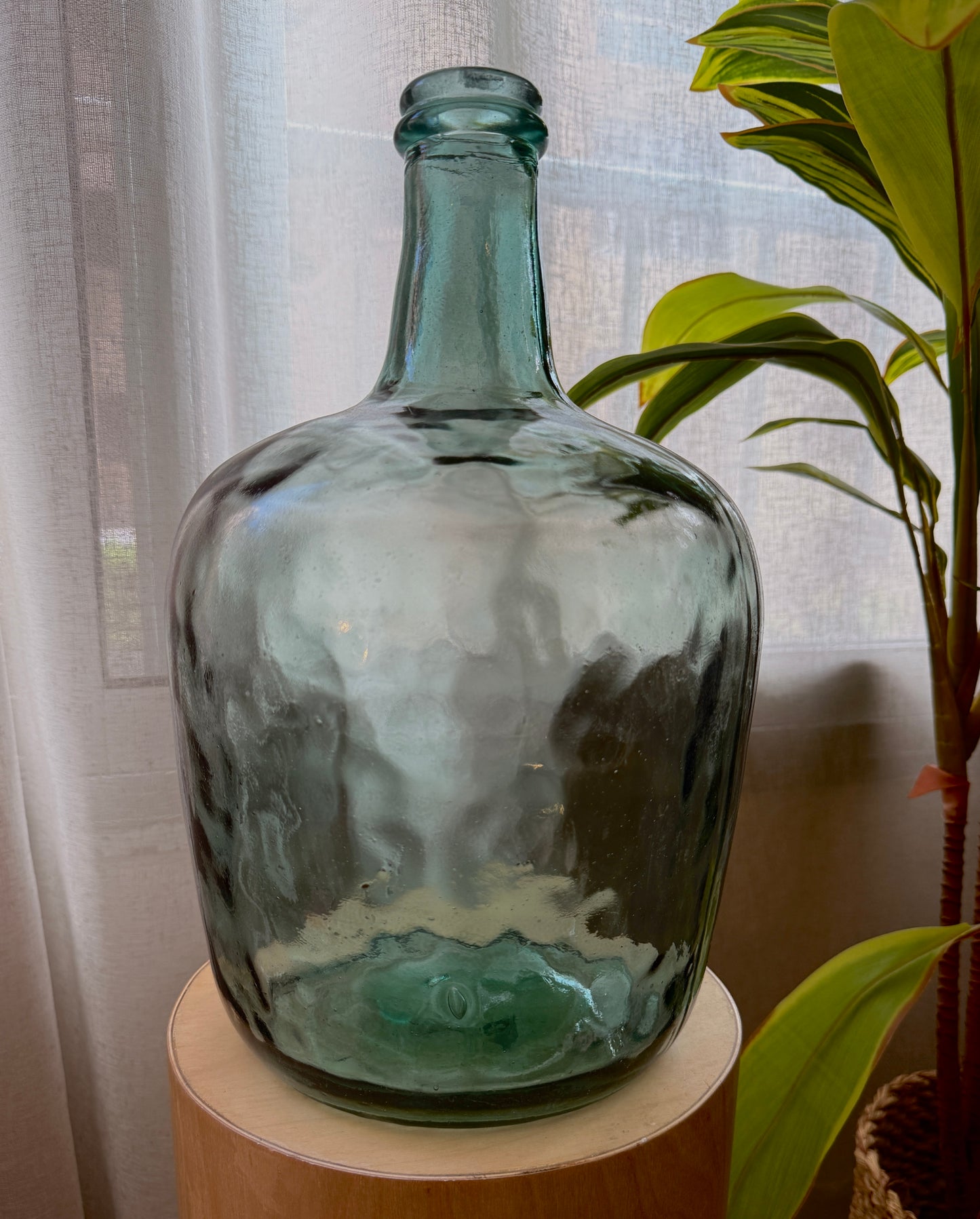 Classic Carafe (options available)